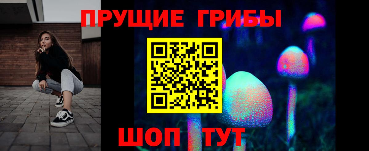 Псилоцибиновые грибы прущие грибы  Вход с VPN  Рассказово 